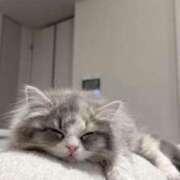 ヒメ日記 2025/05/09 17:47 投稿 るりり【モデル系白い恋人】 STELLA TOKYO－ステラトウキョウ－