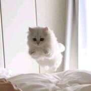 ヒメ日記 2025/05/10 18:04 投稿 るりり【モデル系白い恋人】 STELLA TOKYO－ステラトウキョウ－