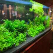 ヒメ日記 2025/08/23 01:39 投稿 優子(ゆうこ) エリートな人妻たち新宿