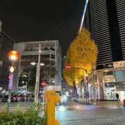 ヒメ日記 2025/12/25 23:19 投稿 優子(ゆうこ) エリートな人妻たち新宿