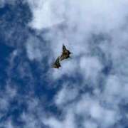 ヒメ日記 2025/09/25 15:29 投稿 明依紗(めいさ) エリートな人妻たち新宿