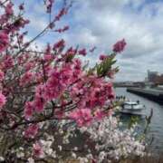 ヒメ日記 2025/04/06 18:49 投稿 真央(まお) エリートな人妻たち新宿