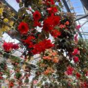 ヒメ日記 2025/04/28 21:39 投稿 真央(まお) エリートな人妻たち新宿