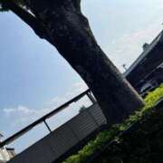 ヒメ日記 2025/07/06 21:39 投稿 優華（ゆうか） エリートな人妻たち新宿