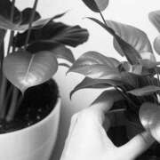 ヒメ日記 2025/03/13 21:50 投稿 つぼみ 脱がされたい人妻 厚木店