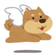 ヒメ日記 2025/05/28 07:54 投稿 おとは ZERO