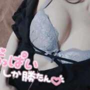 ヒメ日記 2025/06/28 11:36 投稿 おとは ZERO