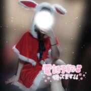 ヒメ日記 2025/12/14 12:13 投稿 おとは ZERO