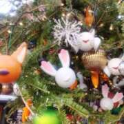 ヒメ日記 2025/12/16 09:02 投稿 おとは ZERO