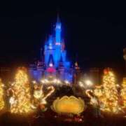 ヒメ日記 2025/12/19 13:06 投稿 おとは ZERO