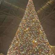 ヒメ日記 2025/12/24 08:33 投稿 おとは ZERO