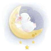 ヒメ日記 2026/01/22 23:23 投稿 おとは ZERO