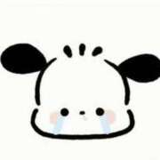 ヒメ日記 2026/02/06 19:43 投稿 おとは ZERO