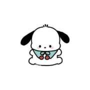 ヒメ日記 2026/03/15 06:50 投稿 おとは ZERO