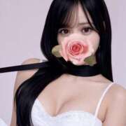 ヒメ日記 2025/05/07 09:26 投稿 ありな ペペピィーノ