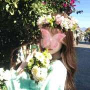 ヒメ日記 2026/01/24 09:26 投稿 ありな ペペピィーノ