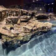 ヒメ日記 2025/04/21 09:48 投稿 まこ 池袋風俗　池袋いきなりビンビン伝説