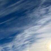 ヒメ日記 2025/04/26 14:15 投稿 まこ 池袋風俗　池袋いきなりビンビン伝説