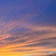 ヒメ日記 2025/04/30 15:46 投稿 まこ 池袋風俗　池袋いきなりビンビン伝説