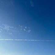 ヒメ日記 2025/05/06 10:35 投稿 まこ 池袋風俗　池袋いきなりビンビン伝説