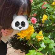 ヒメ日記 2025/05/11 17:00 投稿 まこ 池袋風俗　池袋いきなりビンビン伝説