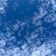 ヒメ日記 2025/05/14 08:59 投稿 まこ 池袋風俗　池袋いきなりビンビン伝説