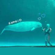 ヒメ日記 2025/07/22 14:03 投稿 まこ 池袋風俗　池袋いきなりビンビン伝説