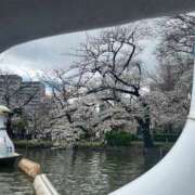 ヒメ日記 2026/03/23 09:53 投稿 まこ 池袋風俗　池袋いきなりビンビン伝説