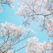 ヒメ日記 2026/04/02 08:46 投稿 まこ 池袋風俗　池袋いきなりビンビン伝説