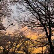 ヒメ日記 2026/04/14 17:18 投稿 まこ 池袋風俗　池袋いきなりビンビン伝説