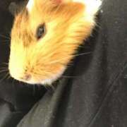 ヒメ日記 2025/03/05 09:48 投稿 葉加瀬 熟女の風俗最終章 横浜本店