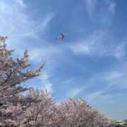 ヒメ日記 2025/03/31 21:24 投稿 葉加瀬 熟女の風俗最終章 横浜本店