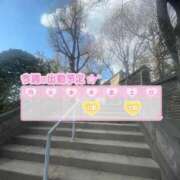 ヒメ日記 2025/04/03 00:54 投稿 葉加瀬 熟女の風俗最終章 横浜本店