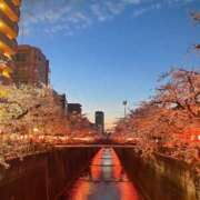 ヒメ日記 2025/04/04 23:18 投稿 葉加瀬 熟女の風俗最終章 横浜本店