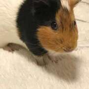 ヒメ日記 2025/06/11 12:00 投稿 葉加瀬 熟女の風俗最終章 横浜本店