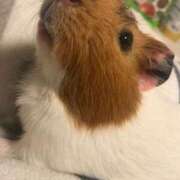 ヒメ日記 2025/07/09 00:14 投稿 葉加瀬 熟女の風俗最終章 横浜本店