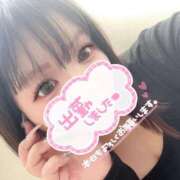 ヒメ日記 2025/11/04 12:05 投稿 葉加瀬 熟女の風俗最終章 横浜本店