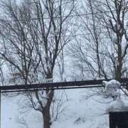 ヒメ日記 2026/02/02 10:51 投稿 葉加瀬 熟女の風俗最終章 横浜本店