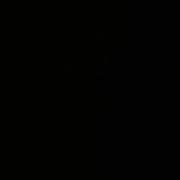 ヒメ日記 2025/07/24 06:04 投稿 あいり お姉京都