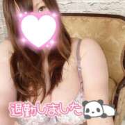 ヒメ日記 2025/05/08 00:02 投稿 あおい ちゃんこ千葉東金店