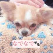 ヒメ日記 2025/03/12 11:29 投稿 ちづる やMAT撫子