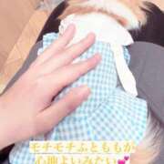 ヒメ日記 2025/03/12 13:11 投稿 ちづる やMAT撫子