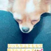 ヒメ日記 2025/03/12 14:44 投稿 ちづる やMAT撫子