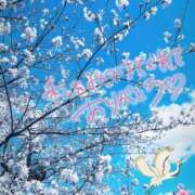 ヒメ日記 2025/03/31 13:27 投稿 ちづる やMAT撫子