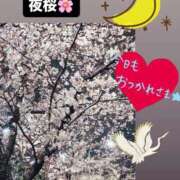 ヒメ日記 2025/04/02 23:01 投稿 ちづる やMAT撫子