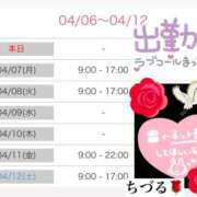 ヒメ日記 2025/04/06 16:57 投稿 ちづる やMAT撫子
