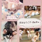 ヒメ日記 2025/05/13 08:14 投稿 ちづる やMAT撫子