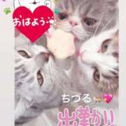 ヒメ日記 2025/05/26 08:26 投稿 ちづる やMAT撫子