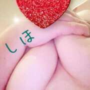 ヒメ日記 2025/03/15 06:02 投稿 しほ ファーストレディ(博多)