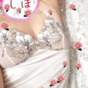 ヒメ日記 2025/05/20 11:22 投稿 しほ ファーストレディ(博多)